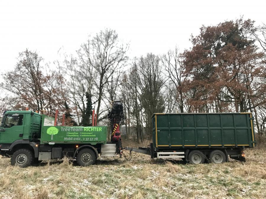 LKW - Transport für Stammholz