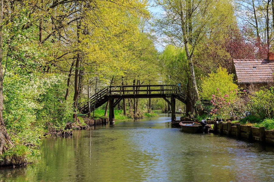 Baumpflege & Baumfällung in Lübbenau im Spreewald–TreeTeam Richter
